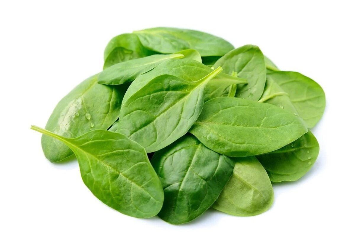 Špenát baby 125 g vanička