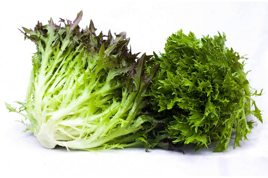 Frisse zelený kučeravý šalát