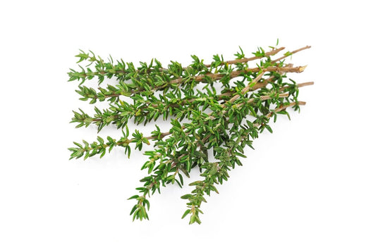 Bylinky - Tymian 30 g zväzok