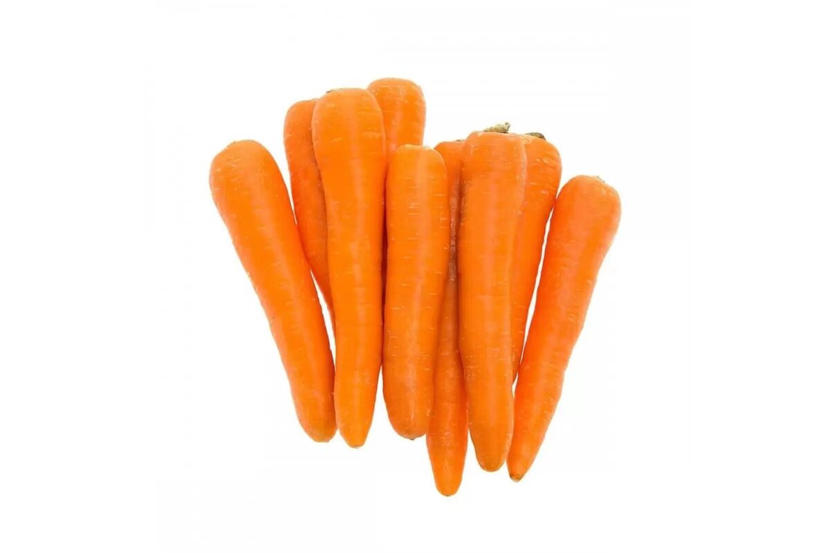 Mrkva praná nová