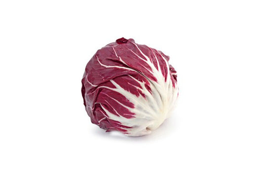 Čakanka červená (Radicchio)