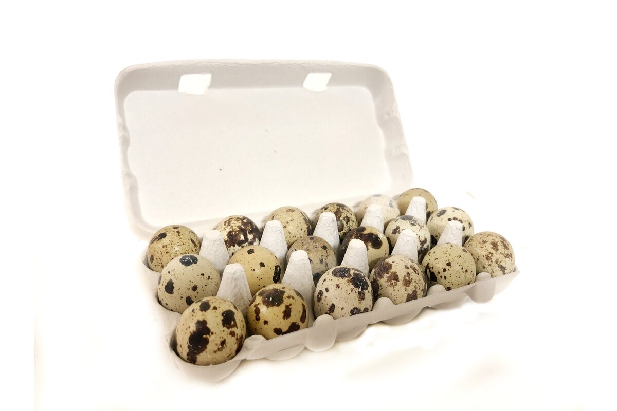 Vajcia prepeličie (18ks/bal.)
