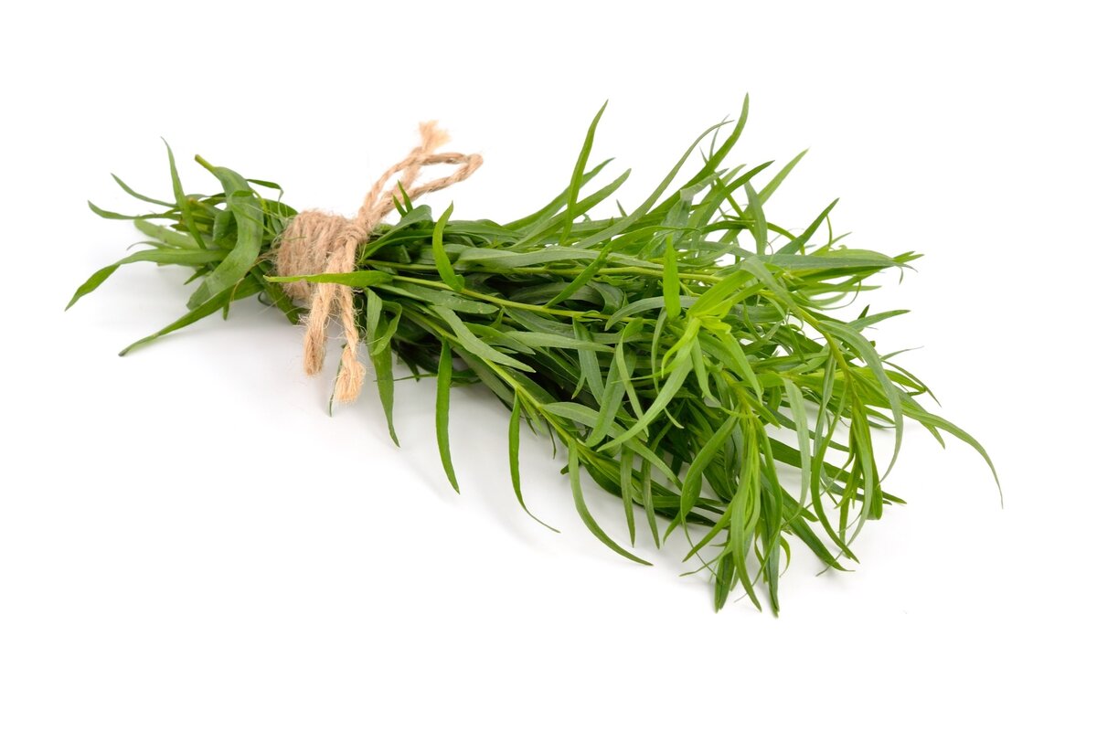 Bylinky - Estragón 30 g zväzok